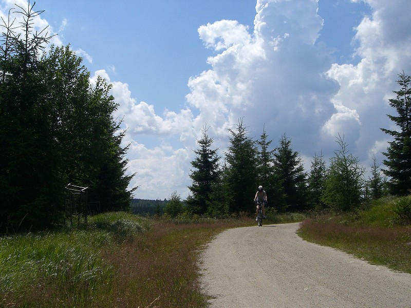 Jezdecká cesta - smer Jizerka