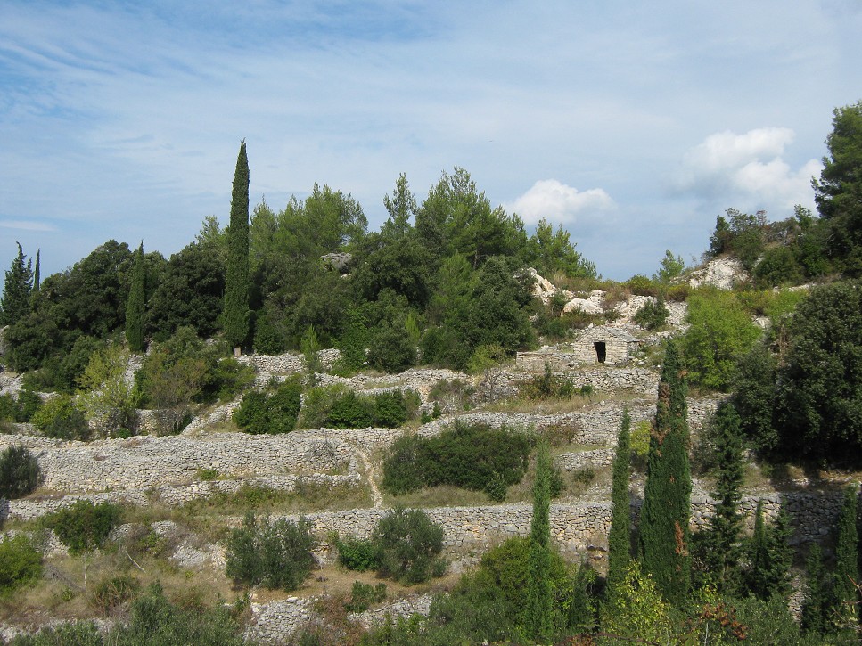 Trasa Korčula - Vela Luka (Korčula)