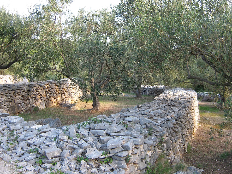 Trasa Korčula - Vela Luka (Korčula)