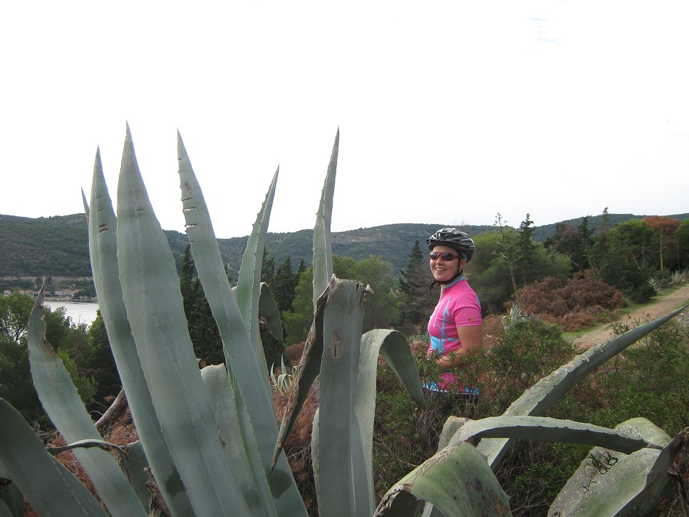 Trasa Vis - Komiža (Vis)