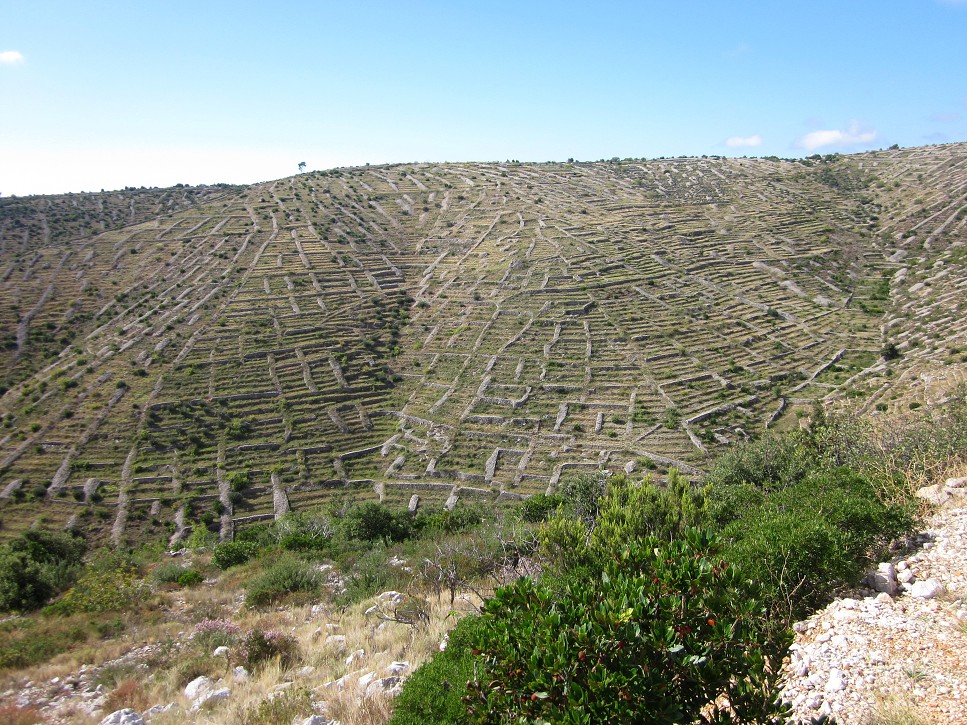 Trasa Hvar - Stari Grad (Hvar)