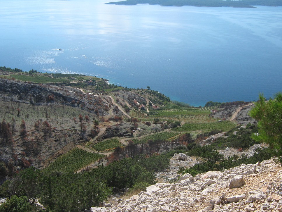 Výšlap z Bolu na Vidovu Goru (Brač)