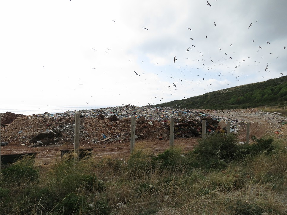Smetisko na Korčuli