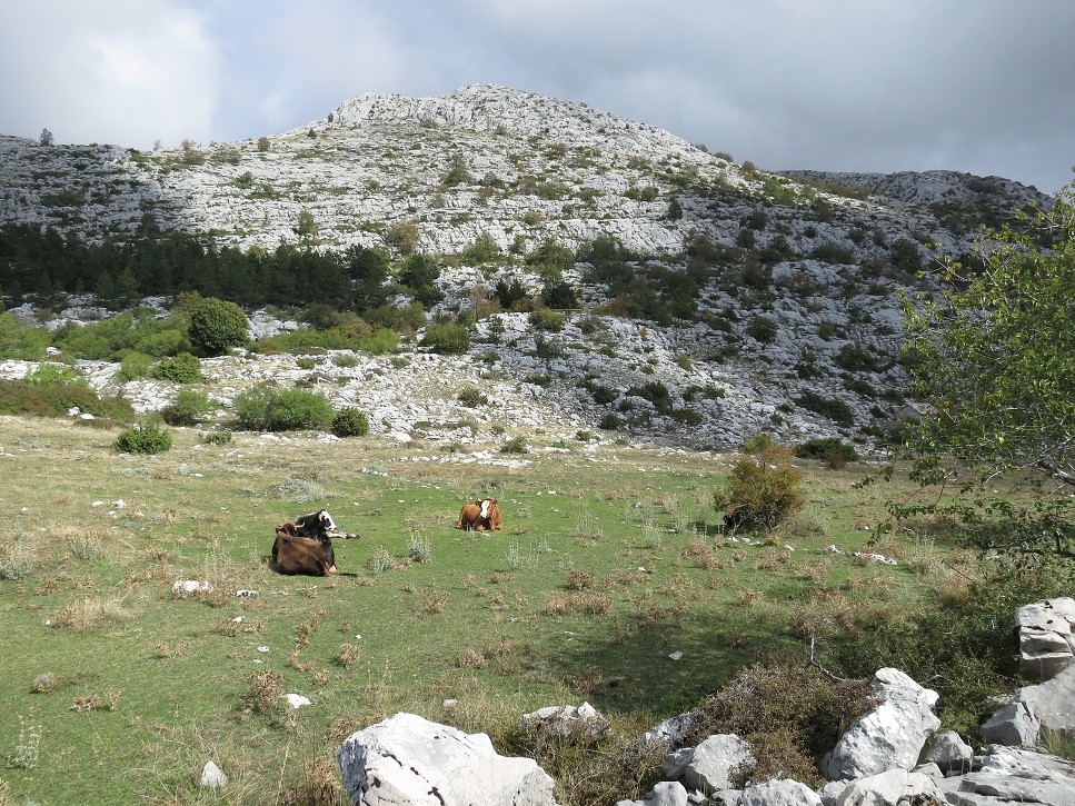 Výšlap na Sv. Juru