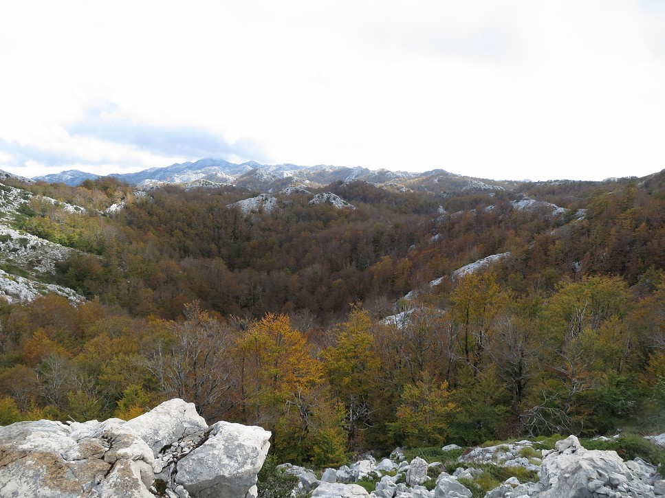 Výšlap na Sv. Juru