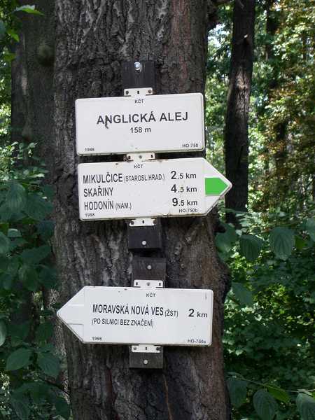 Tu cyklotrasa odbo�uje do lesa 