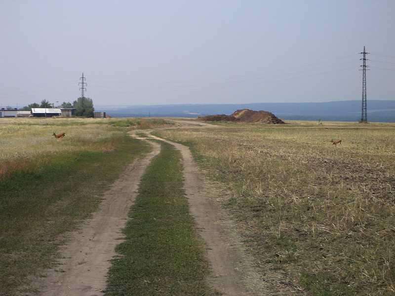 Takmer som ich dohonil 