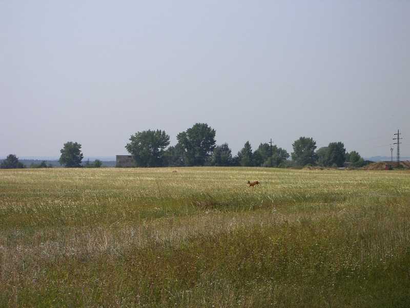 Ale napokon mi u�li 