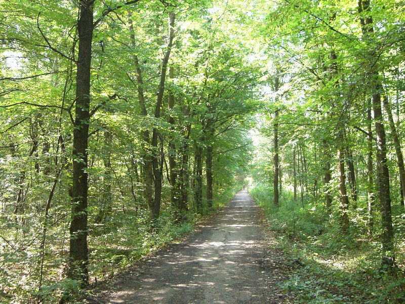 Kr�sna cyklostezka z Hodon�na do Dub�an 