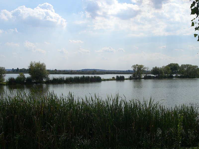 Rybn�k za Skalicou 