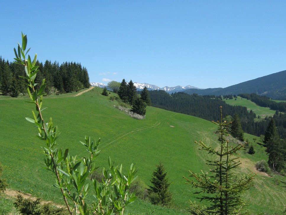Po hrebeni smerom na Veľké Borové