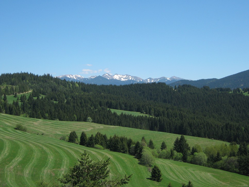 Vysoké Tatry v pozadí