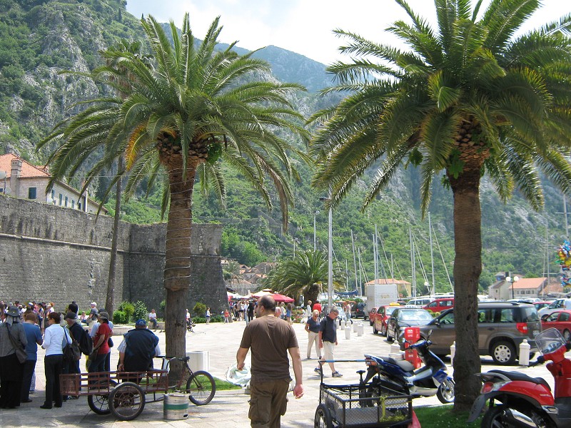 Kotor