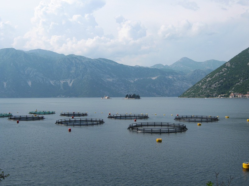 Návrat popri kotorskej zátoke