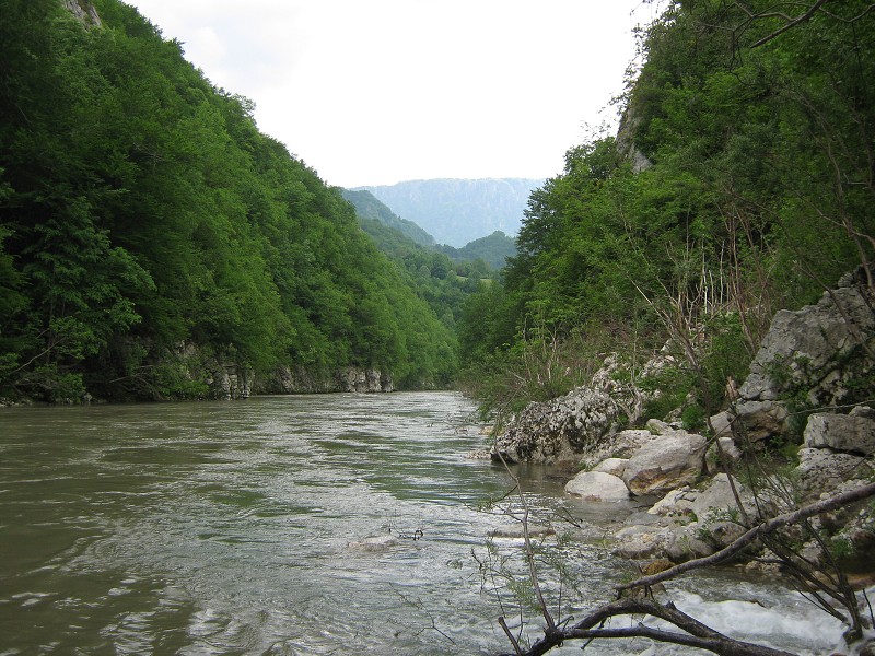 Tara, v týchto miestach pomerne pokojná
