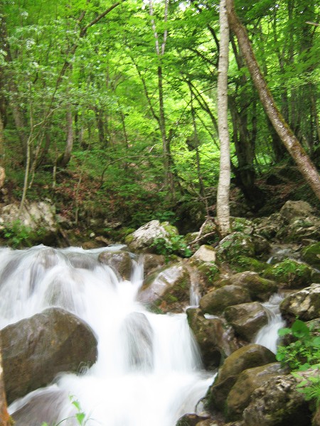 Jeden z mnohých vodopádov