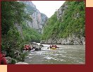Rafting na rieke Tara 