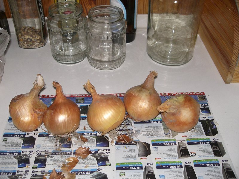 Cibule mus� by� hodne 