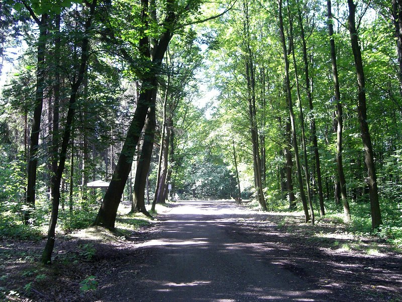 Kr�sna cyklostezka cez B�lsk� les 