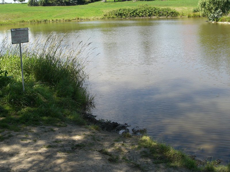 �ia� cesta kon�� vo vode 