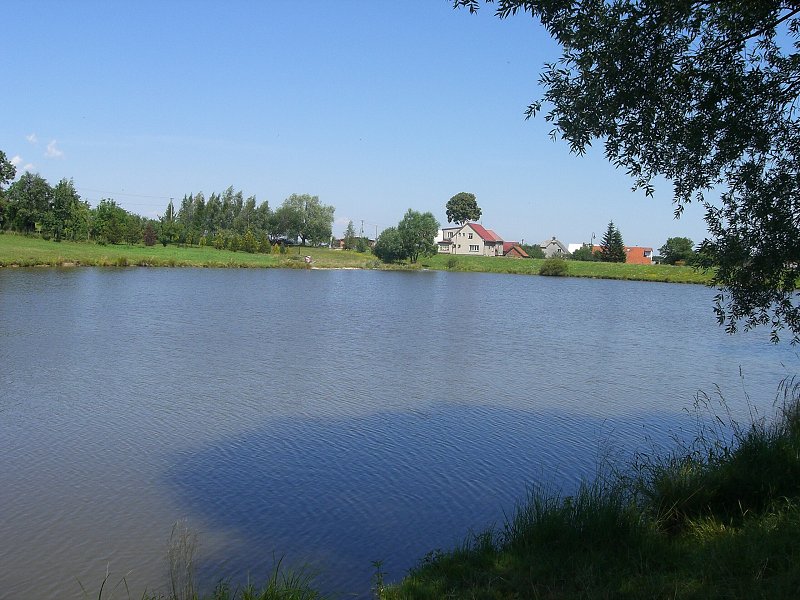 Mus�m sa vr�ti� a rybn�k ob�s� 