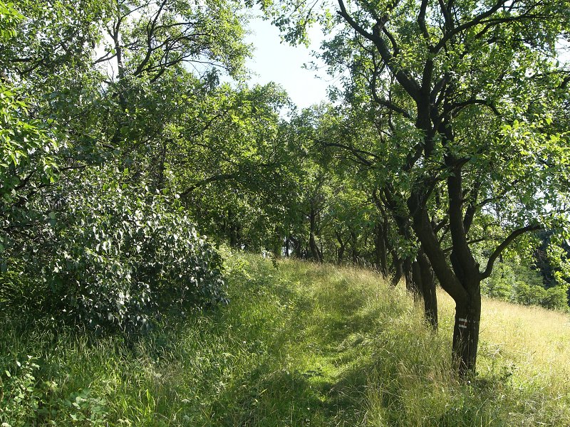 St�panie na kopec Lichnov 