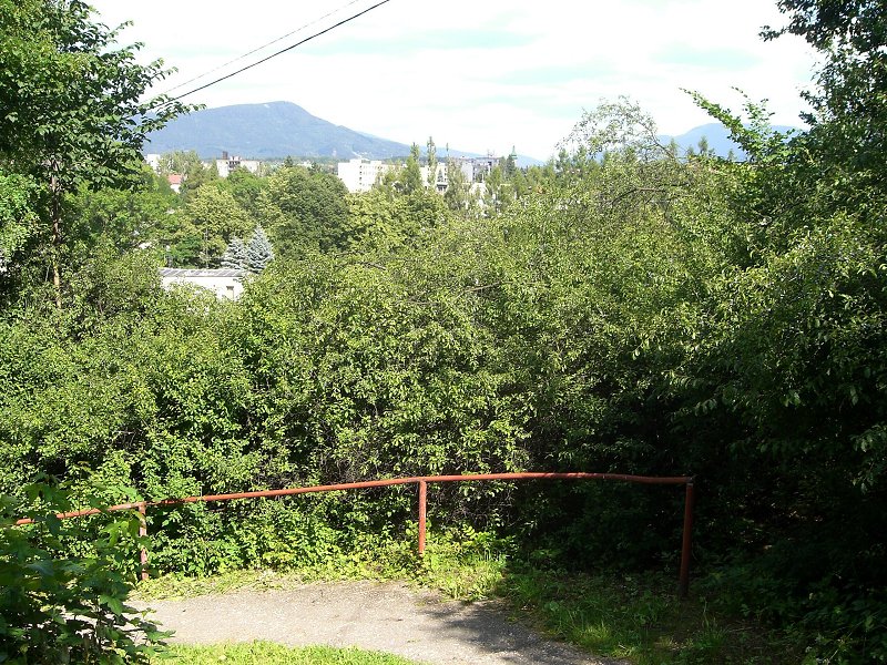 Fren�t�t je dobre schovan� v lese 