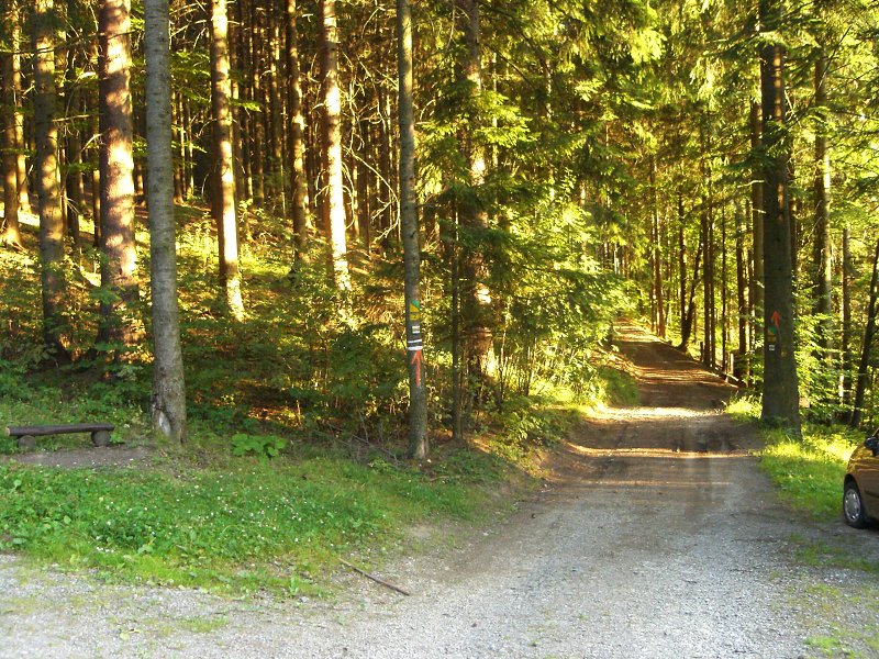 Op���am asfaltku a idem lesom 