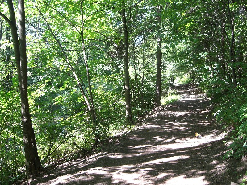 Cesta vedie popri rie�ke Vset�nska Be�va 