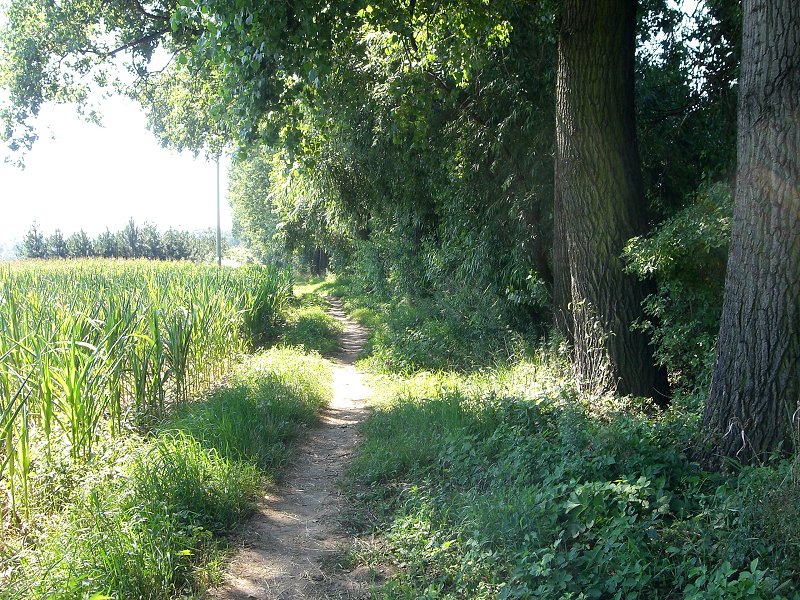 Z Napajedel smer Spytihn�v 