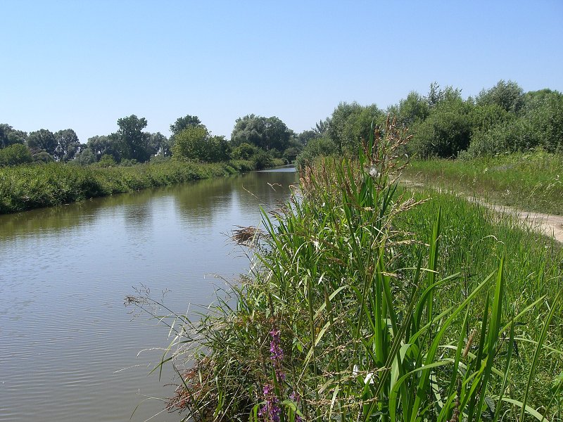 Popri kan�li smer Star� M�sto 