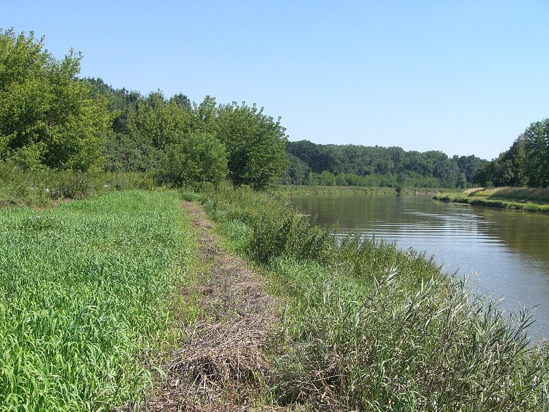 E�te sk��am tadia�to, ale nikam to nevedie 