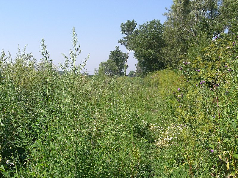 ...a takto to vyzeralo pred n�m 