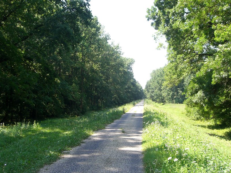 Zo Skalice vedie pekn� cyklostezka 