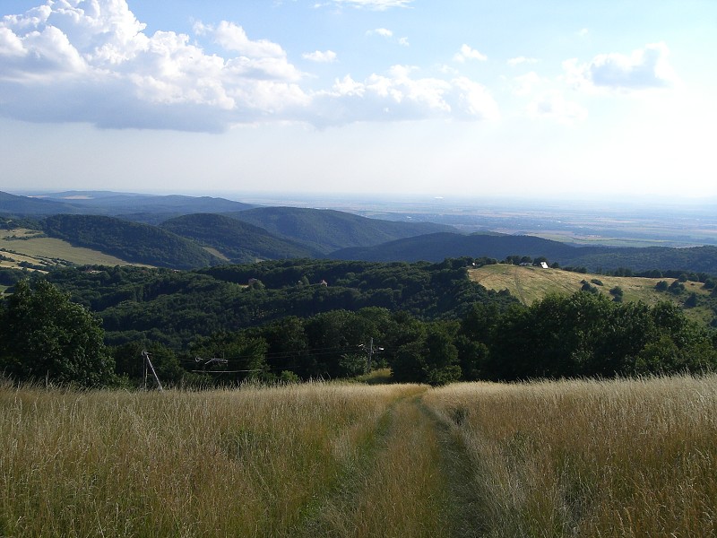 Tu sme trochu zablúdili
