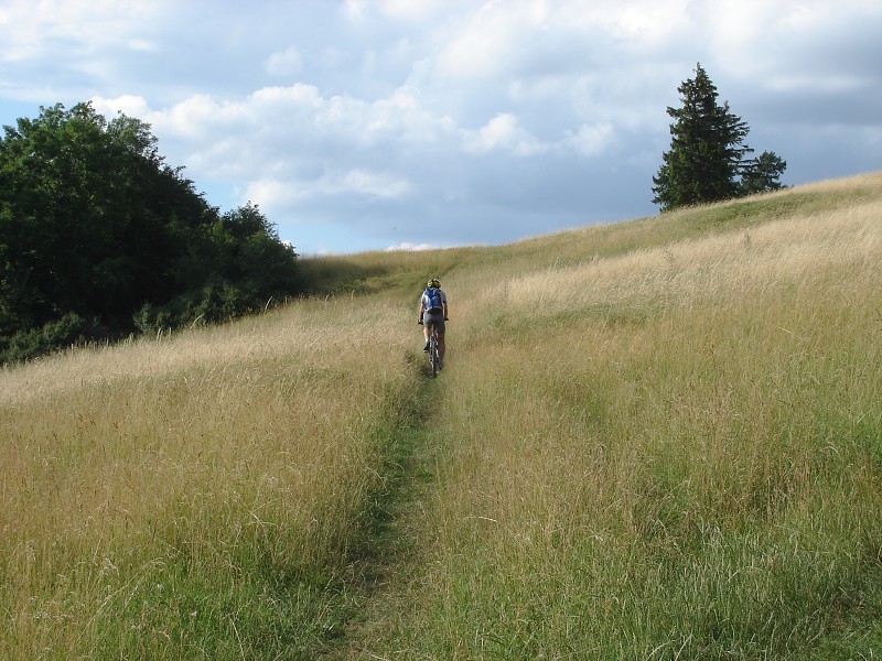 Tadiaľto vedie tá správna cesta