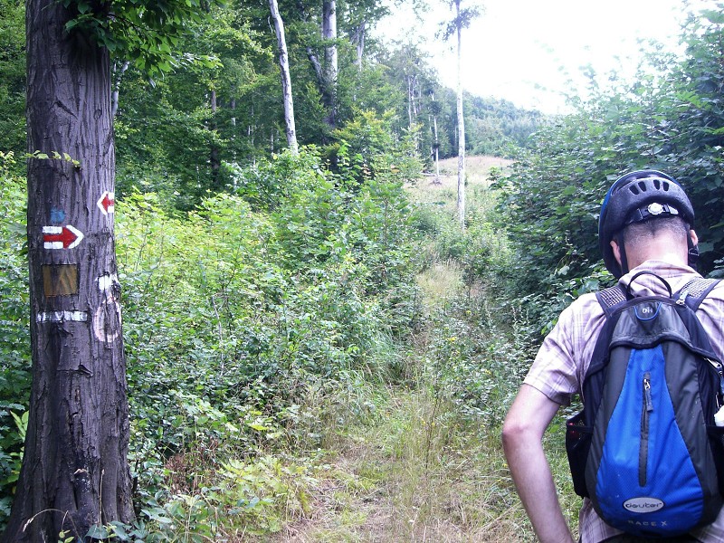 Zdá sa, že po červenej to nepôjde