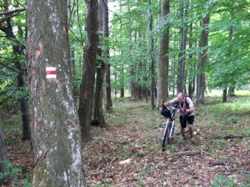 Opäť na červenej, ale stále do kopca