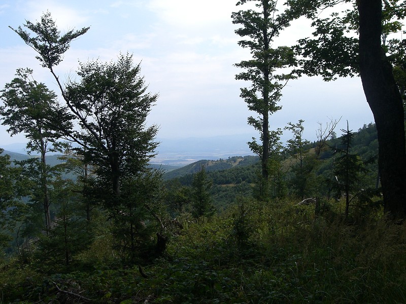 Výhľad z Panskej Javoriny