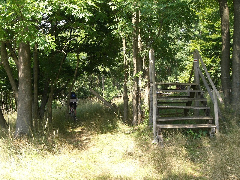 Tesne pred vrcholom Ostrého vrchu