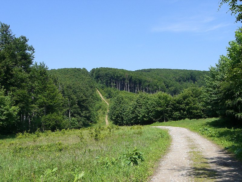 �melek - ten kopec nem�m r�d 