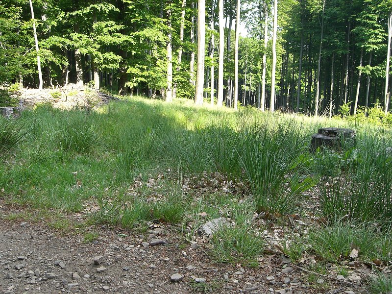 Tu za��na obch�dzka Skalnatej. Nema� GPS, tak ju nen�jdem. 