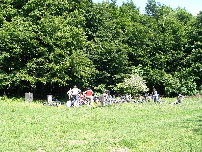 Chystali nejak� s��a� 