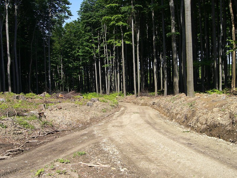 Lesn�ci si urobili autost�du 