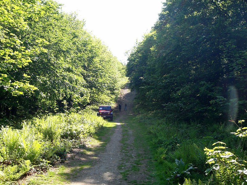 Pod rozh�ad�ou. To auto ma prekvapilo. 