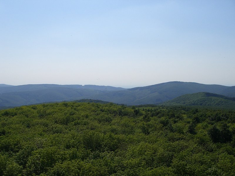 Hrebe� Mal�ch Karp�t 