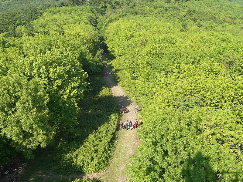 Tento �sek som vytla�il 