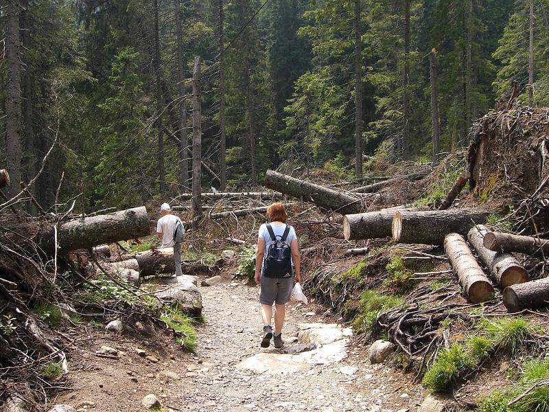 Tatry 2006