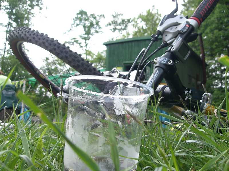 Ryb�rsky de� vo Vini�nom