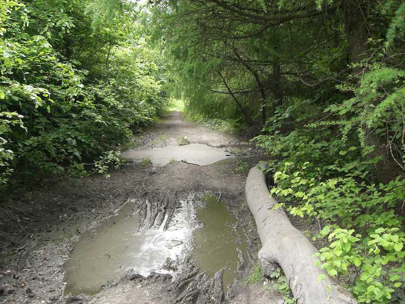 Ryb�rsky de� vo Vini�nom